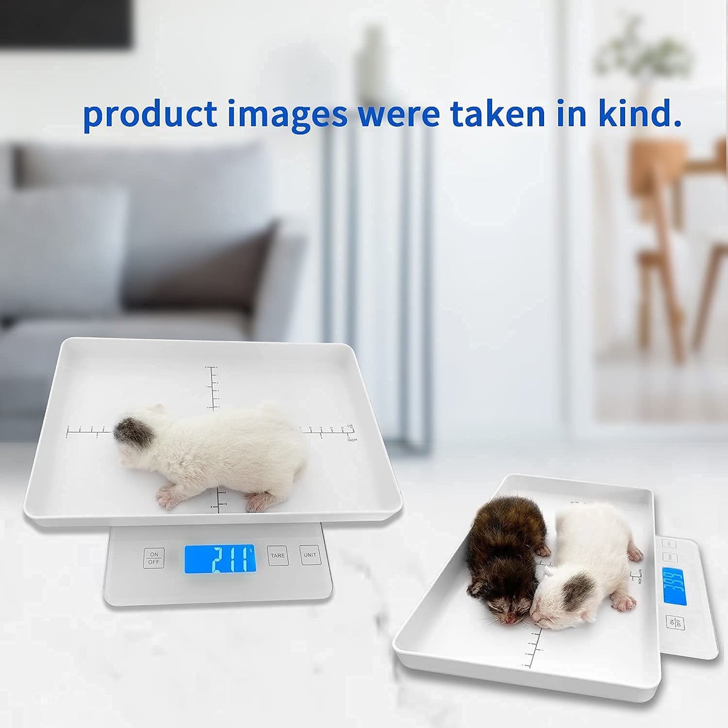 MINDPET-MED Digital Pet Scale for Small Animal, Whelping Scale,Mini Precision Gram Weight Balance Scale, High Precision 1g, Suitable for Newborn Pets