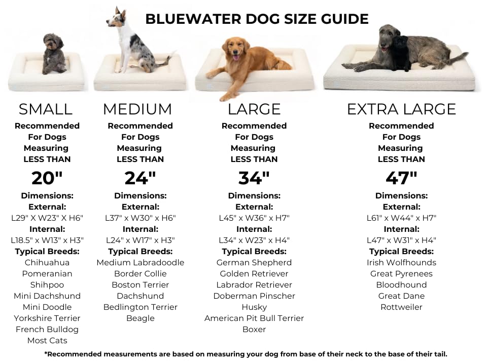 Bluewater Dog Luxury Boucle Orthopedic Memory Foam Dog Bed with Waterproof Liner and Machine Washable Cover with YKK Zippers (Medium 37" L x 30" W x 6" Th, Cloud)