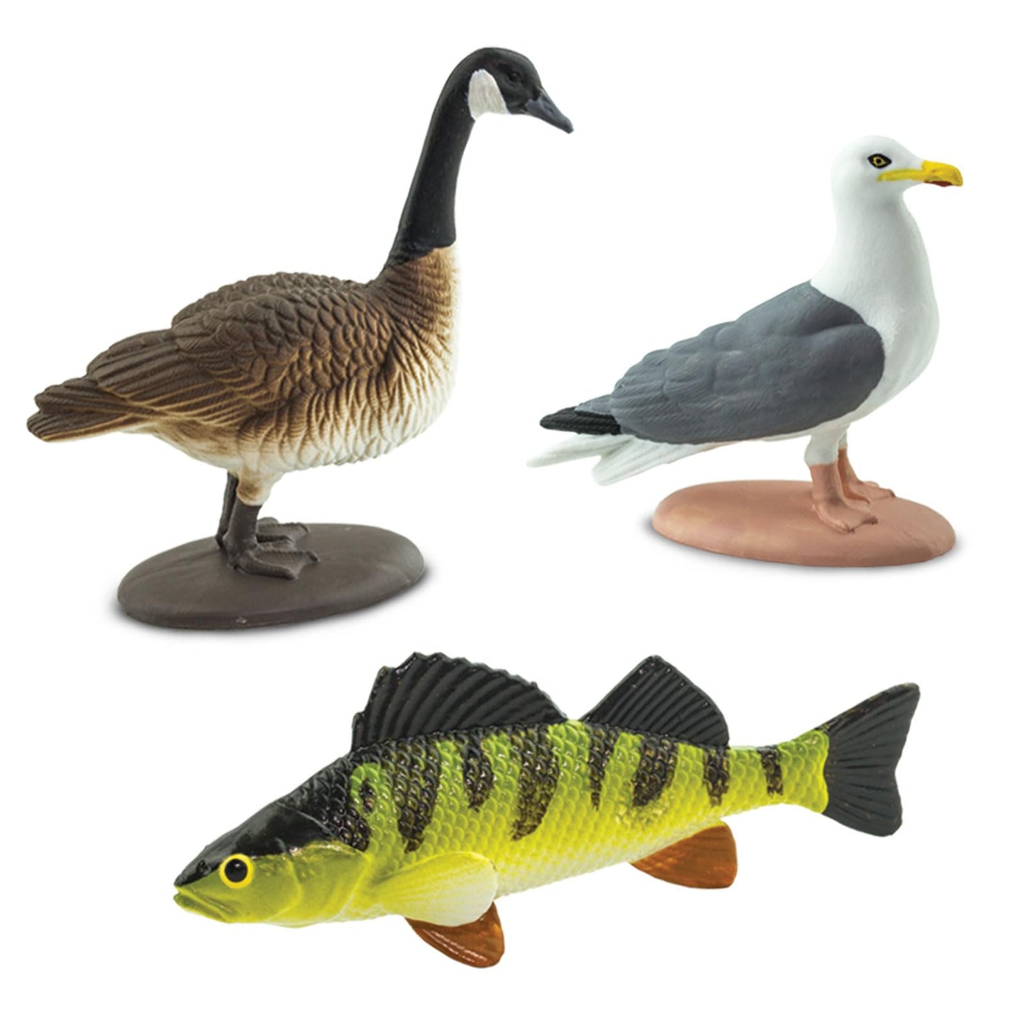 Safari Ltd. Great Lakes TOOB - Figurines of Mudpuppy, Dragonfly, Water Snake, Bat, Goose, Herring Gull, Blue Heron, Lynx, Sturgeon, Yellow Perch - Educational Toys for Boys, Girls & Kids Ages 3+