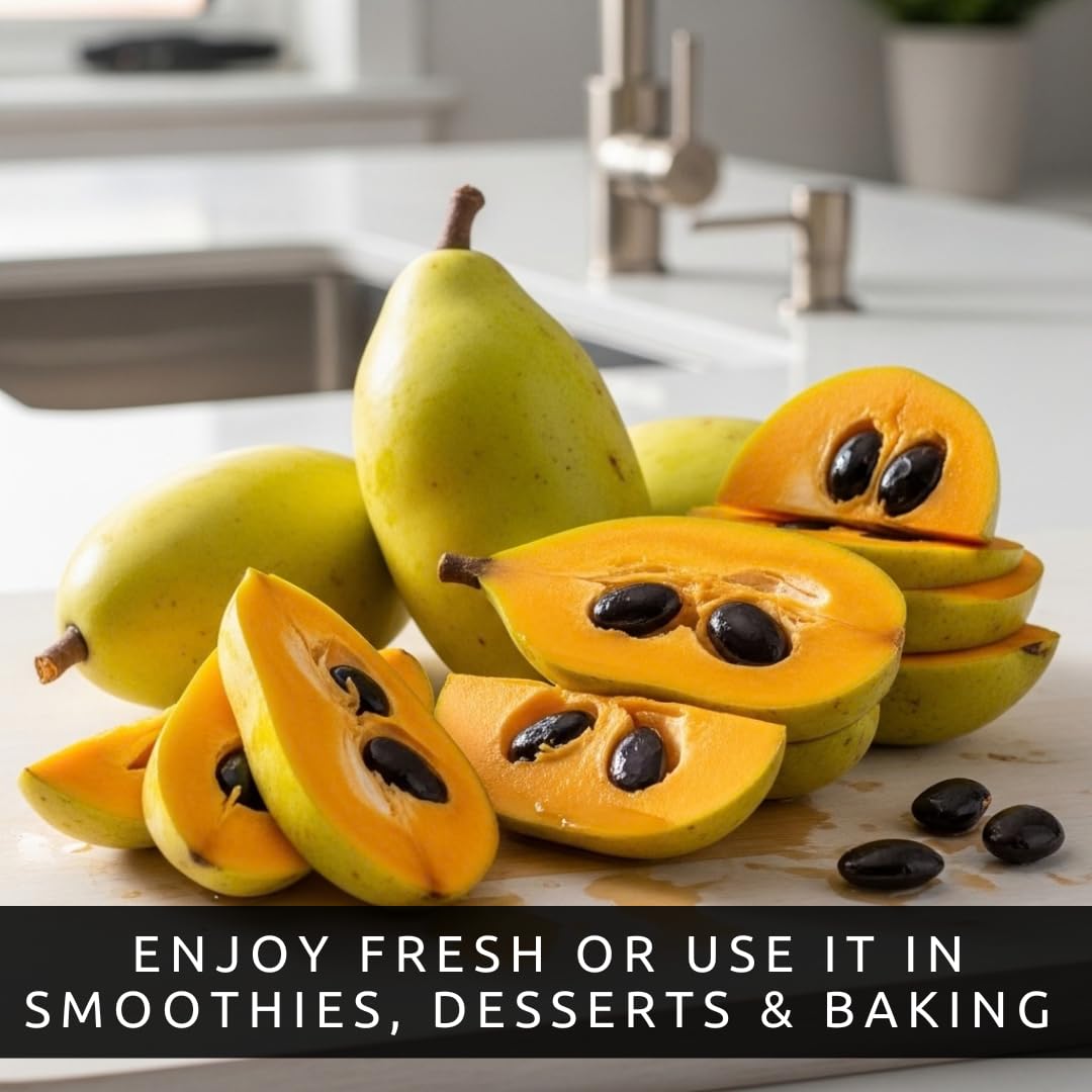 Pawpaw Seeds for Planting – Grow Your Own Pawpaw Tree – Non-GMO Asimina Triloba Seeds for Home Garden, Backyard Orchard, and Outdoor Planting - Paw Paw, North American Banana (15 Seeds)