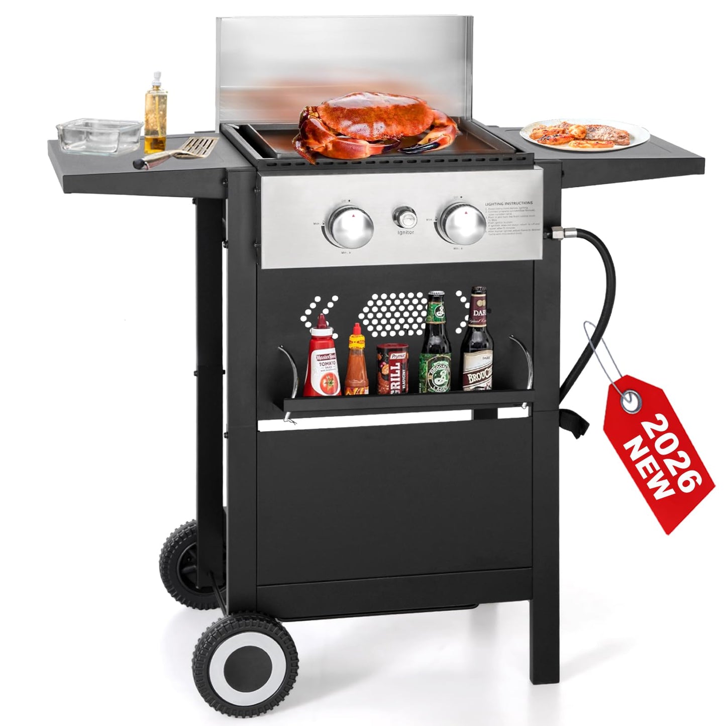 GREEN PARTY 2 Burner Griddle Grill Combo, 2 in 1 Propane Gas BBQ Grill w/Cast Iron Plate, 20,000 BTU Output Small Flat Top Propane Barbecue Grill for Camping, Patio, Backyard, Balcony