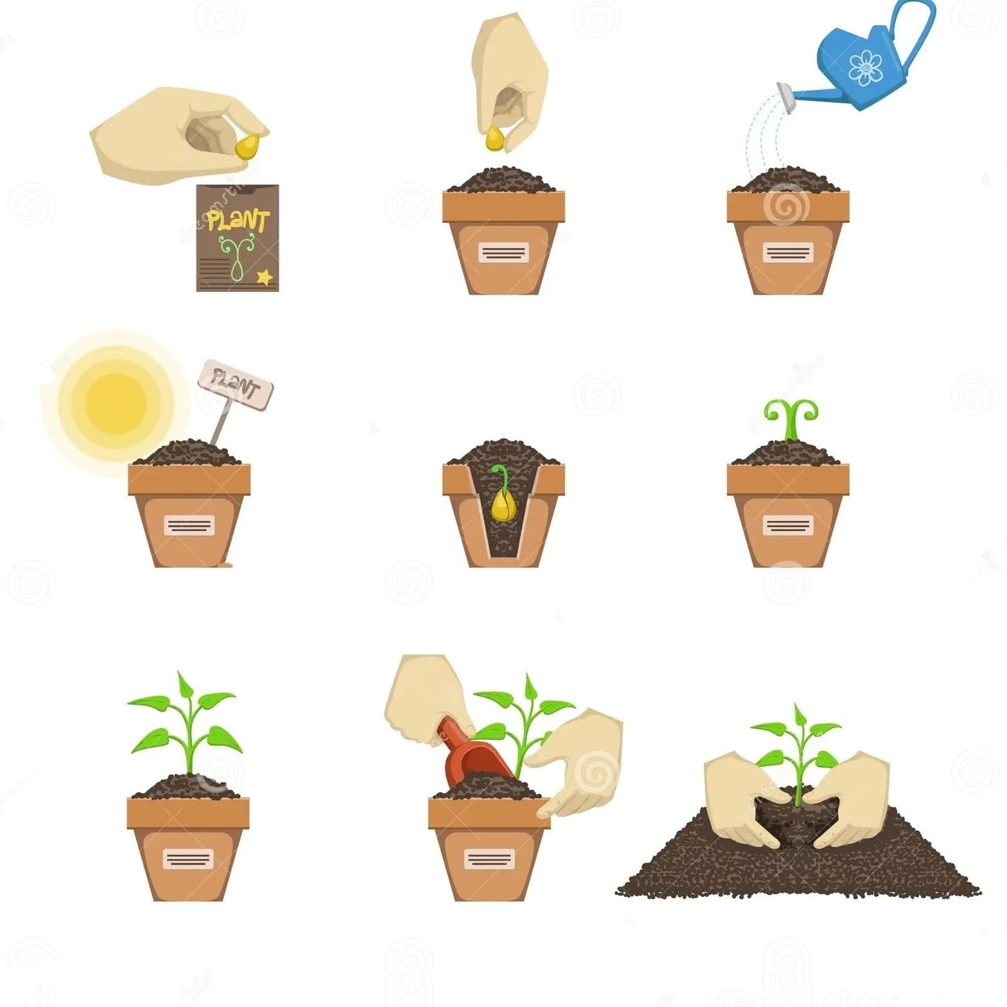 JYGXCT Elephant Ear Bulbs, Tropical Plant Tubers for Outdoor Garden Planting-4 BULBS-H