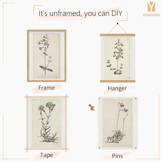 Vintage Botanical Plant Wall Art Prints - Neutral Minimalist Flower Posters Picture for Bedroom, Bathroom, Kitchen, Home Office - Beige Rustic Farmhouse Room Decor Aesthetic Boho Sketch UNFRAMED 11x14