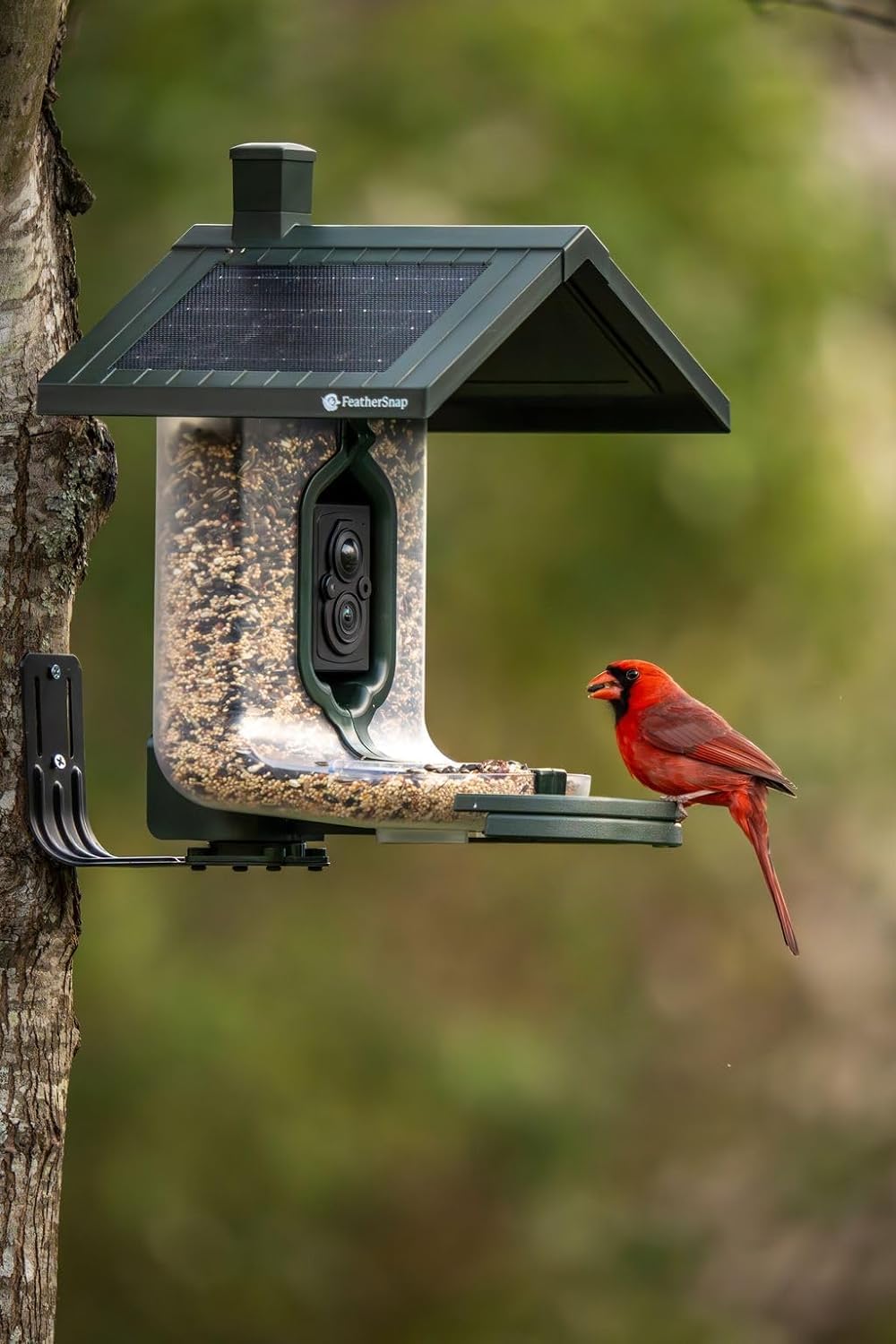 Feathersnap Smart Bird Feeder with AI Identification & HD Camera – Solar-Powered Wi-Fi Feeder Sends Photos & Videos to Your Phone – Includes Pole Mount, Bird Seed, 32GB SD Card, & Cleaning Cloth