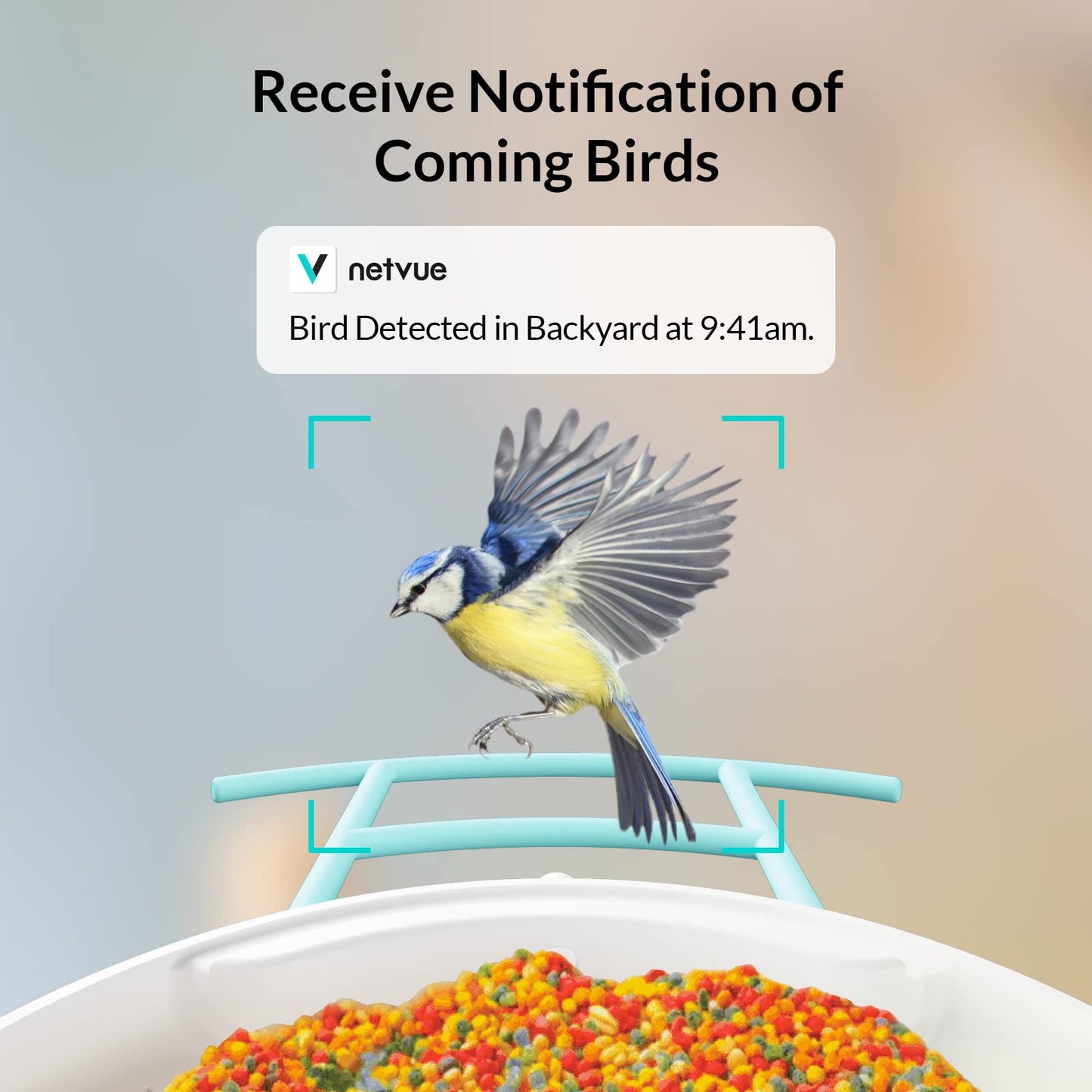 NETVUE by Birdfy Smart Bird Feeder with Camera & Hummingbird Feeder Perch, Attract More Bird Species