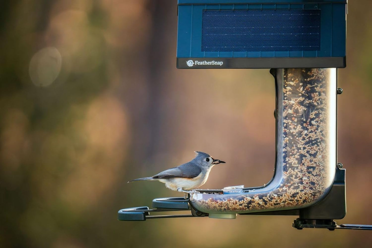 Feathersnap Smart Bird Feeder with AI Identification & HD Camera – Solar-Powered Wi-Fi Feeder Sends Photos & Videos to Your Phone – Includes Pole Mount, Bird Seed, 32GB SD Card, & Cleaning Cloth