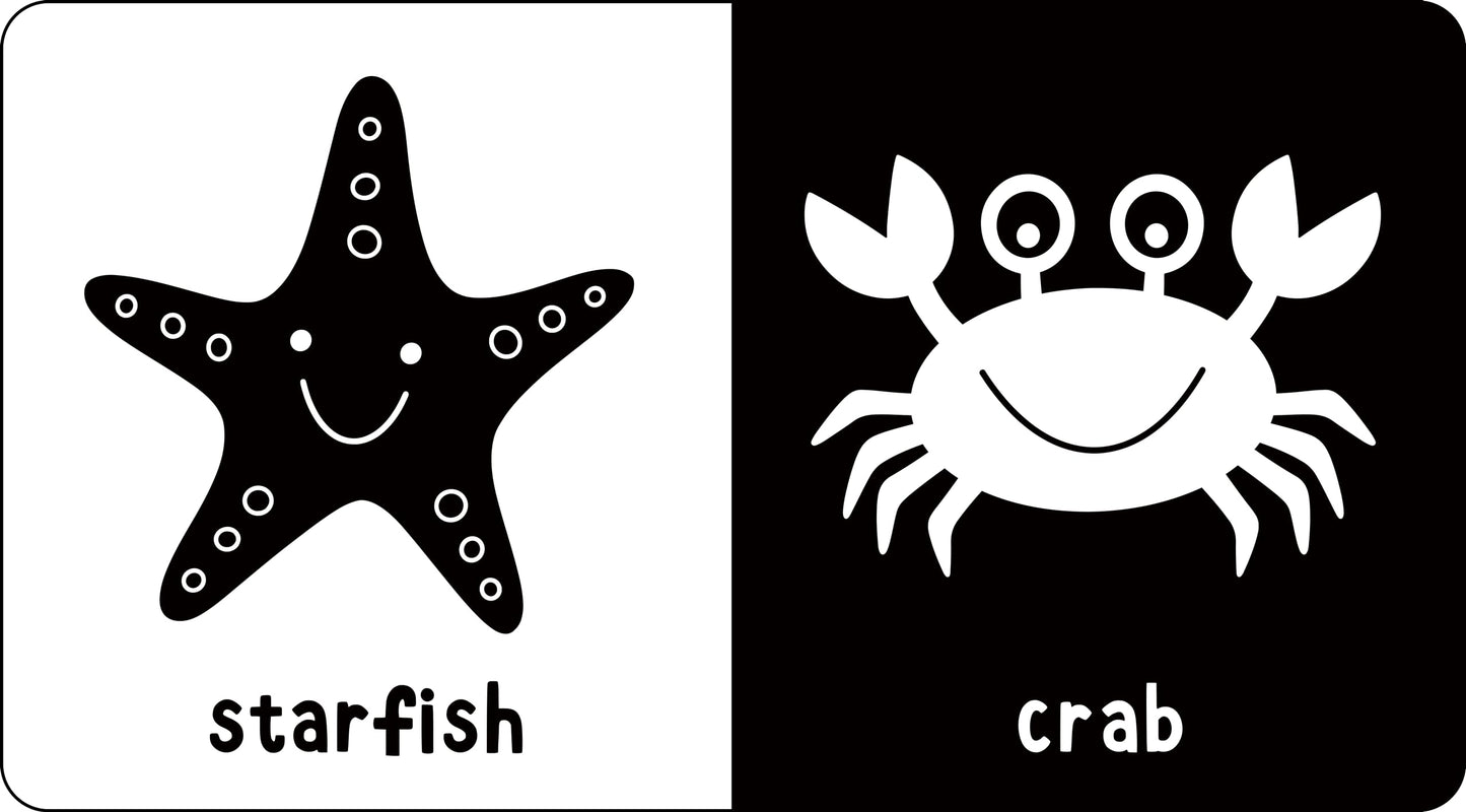 My Little Black and White Board Book Library - Set of 5 High Contrast Board Books (What Does Baby See?)