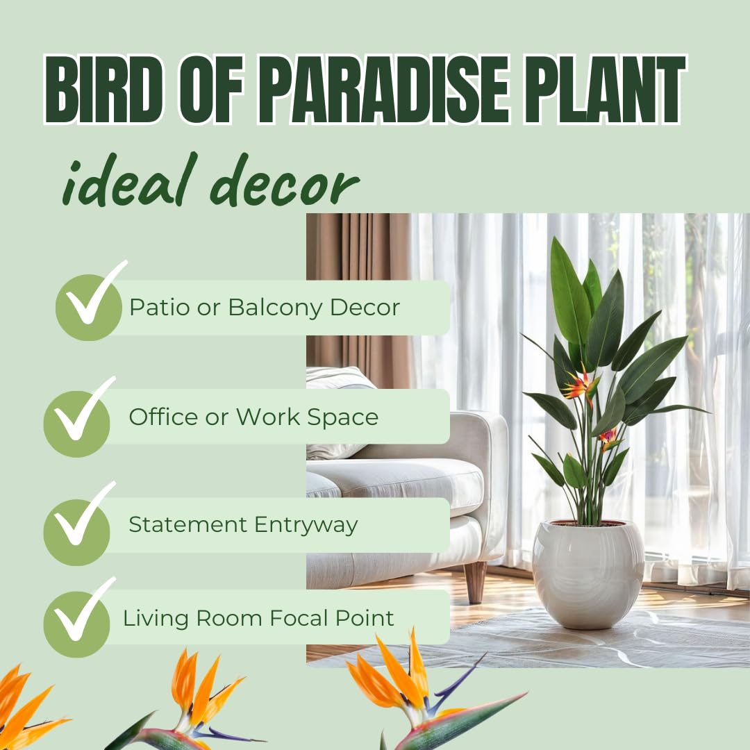 Bird of Paradise Plant - Live Tropical Ornamental Houseplant, Indoor and Outdoor Planting, Zones 9-11 (Yellow)