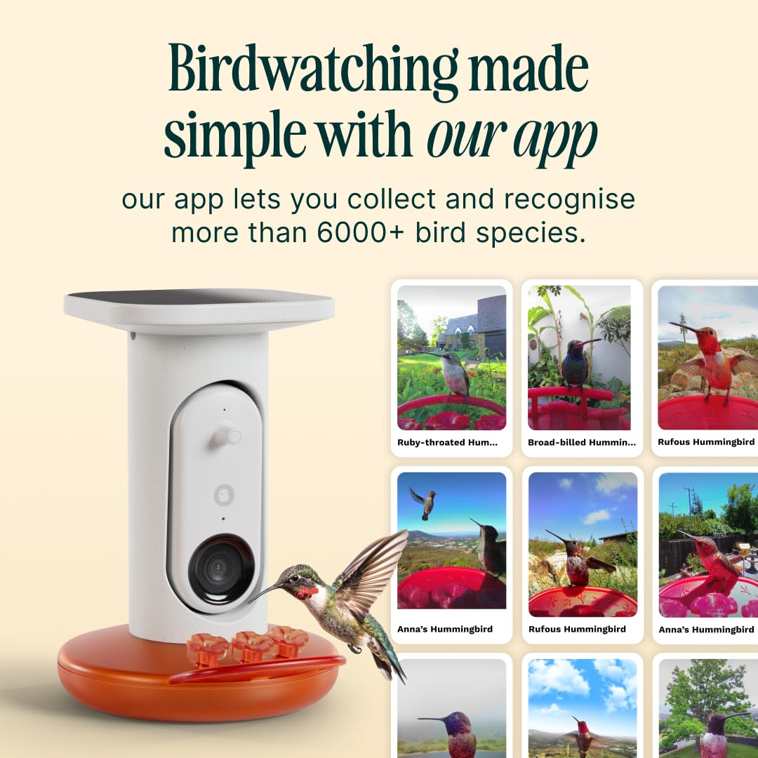 Birdbuddy Smart Non-Solar Pro Hummingbird Feeder with Camera - AI Bird Identification, 2K Video, 5MP Photos, Outdoor Hanging, Gift for Bird Watching