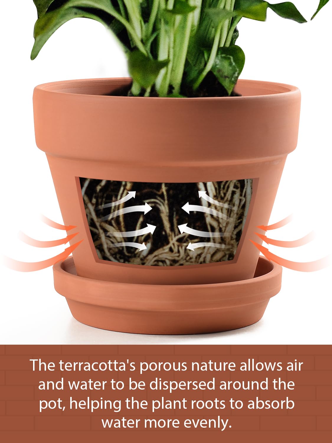 INGOFIN Terracotta Pots Set with Saucer - 2-Pack Ceramic Clay Planters with Drainage Hole, Garden Flower Succulent Pots with Tray for Indoor Outdoor Plants, 8 inch, Set of 2