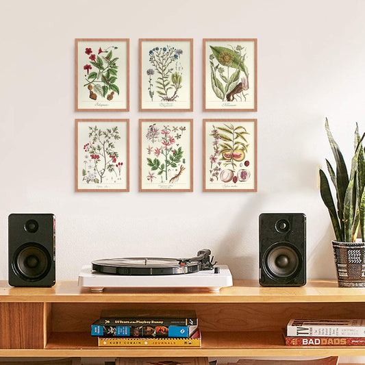 YUMKNOW Farmhouse Vintage Botanical Wall Decor - Unframed Set of 6, 11x14, Boho Cottegecore Plant Leaves Room Decor for Bathroom, Bedroom Art Posters Prints, Aesthetic Flower Pictures Office Kitchen
