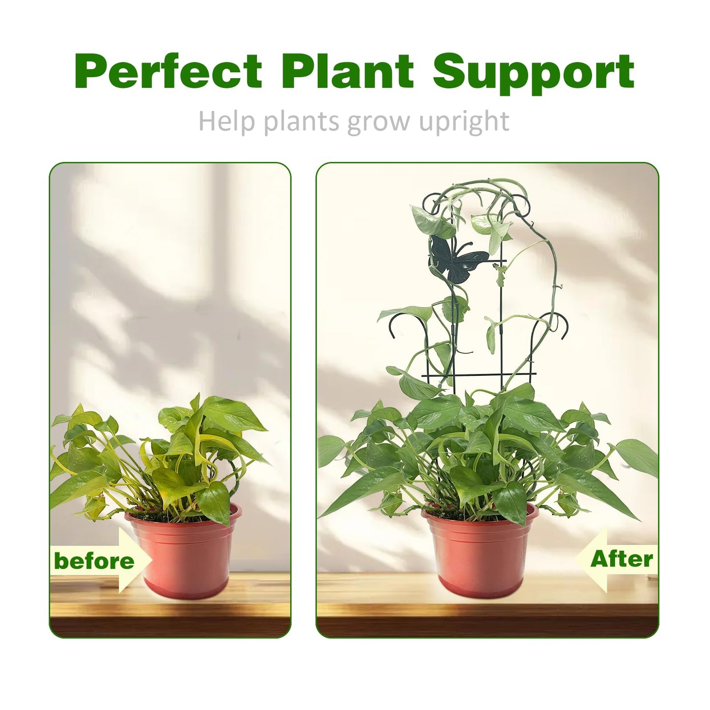 CHOUYUHE 23 Inch Plant Trellis for Potted Plants, Sturdy Metal Houseplant Trellis for Climbing Plants Indoor Outdoor, Rust-Resistant Plant Support for Monstera Pothos Ivy, 2 Pack (2, 23inch)