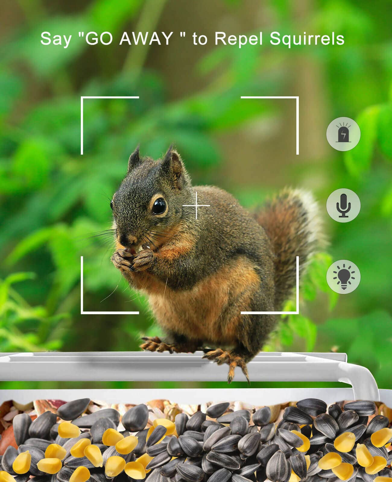 Smart Bird Feeder with Camera Wireless Outdoor, Feeders for Outside, Solar Energy Generation, 1080P HD, APP Connection, IP65 Waterproof, AI Identify Species, Free 64G TF Cards