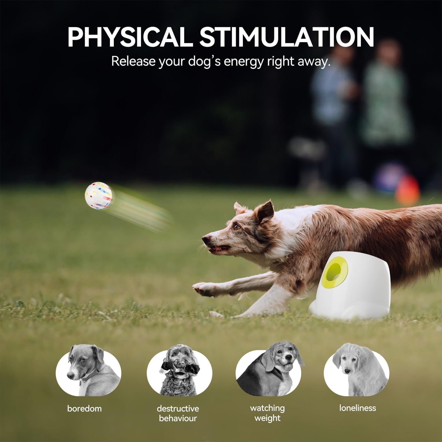 ALL FOR PAWS Automatic Dog Ball Launcher with 2.5in EPTU Balls, Ball Thrower for Medium to Large Dogs, Interactive Dog Fetch Toy for Mental & Physical Exercise