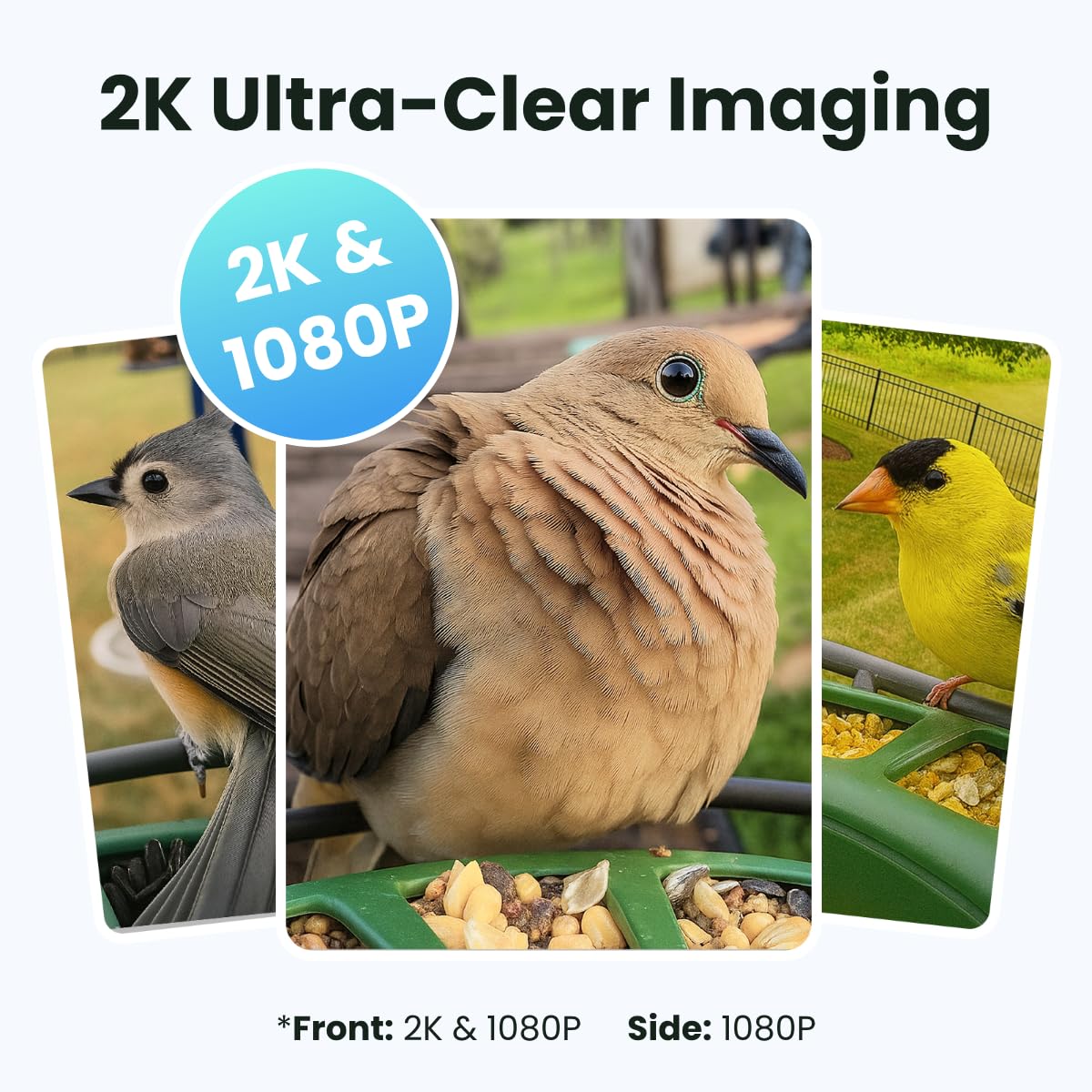 Birdfy 2 Smart Bird Feeder with Camera, AI Identifies Bird Species, 2K Dual-Lens + Side HD Camera for Live Streaming & Feeding View, Solar-Powered Backyard Birdwatching Gift Present