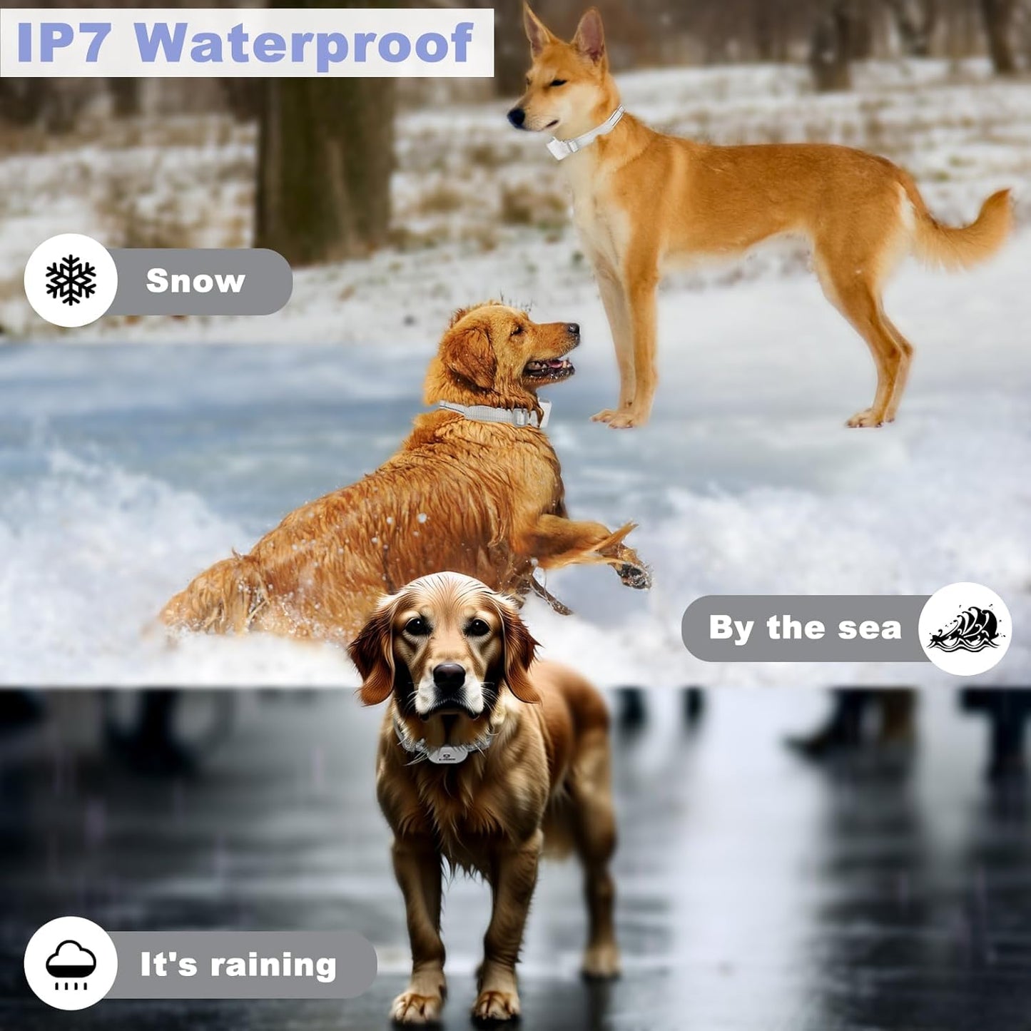 E-FENCE 2 Pack 3-in-1 GPS Dog Tracker/Training Collar/Electronic Fence Wireless Electric Collar Fence for Dogs,Adjustable Irregular Boundary,Pet Containment System,Outdoor Use Only