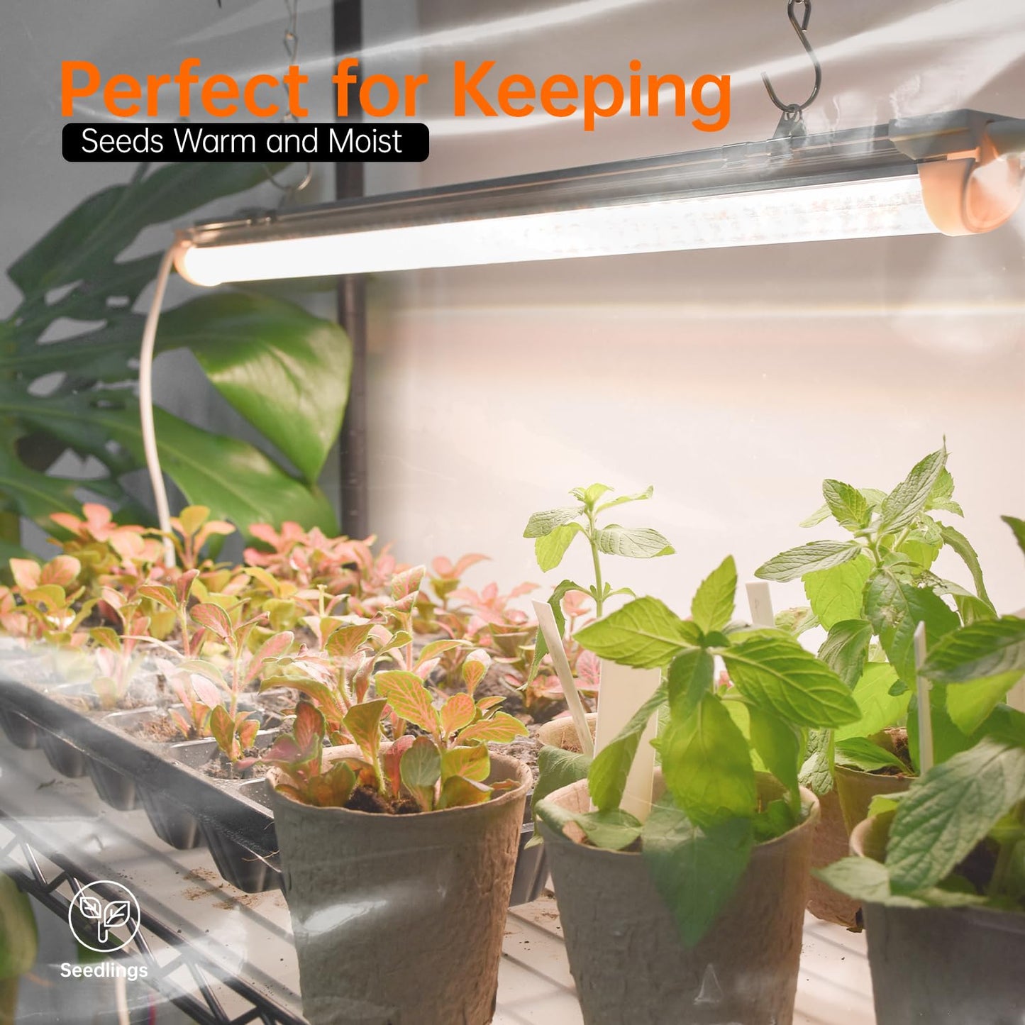 Bstrip Indoor Greenhouse with Grow Light, Plant Shelf with 4 Pack T8 Full Spectrum Plant Lights and Cover, mini Greenhouse for Indoor Plant, Seed Starting, Seed Tray, (47.2" L x 17.8" W x 71" H)