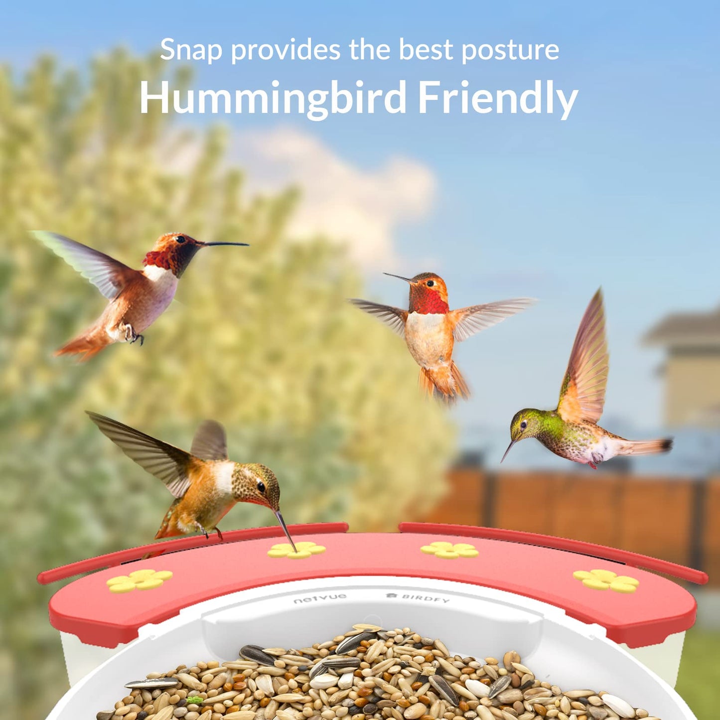 NETVUE by Birdfy Smart Bird Feeder with Camera with Hummingbird Feeder Perch, Attracting More Bird Species