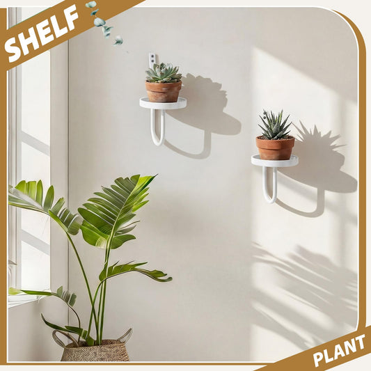Otoolling 2 Pcs Hanging Planters for Indoor Plants Wall Plant Holder Plant Hanger Wall Planters Shelves Decor for Living Room Bathroom Window (White)