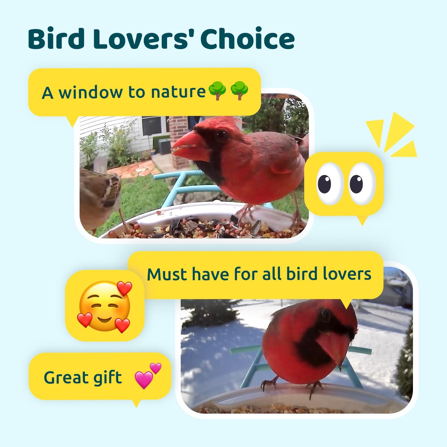 NETVUE by Birdfy Smart Bird Feeder with Camera – AI Identifies Birds Species 2MP Night Vision & App Alerts, 2.4Ghz Wi-Fi Connect IP65 Weatherproof Bird Camera-Gift for Backyard BirdWatchers, Yellow