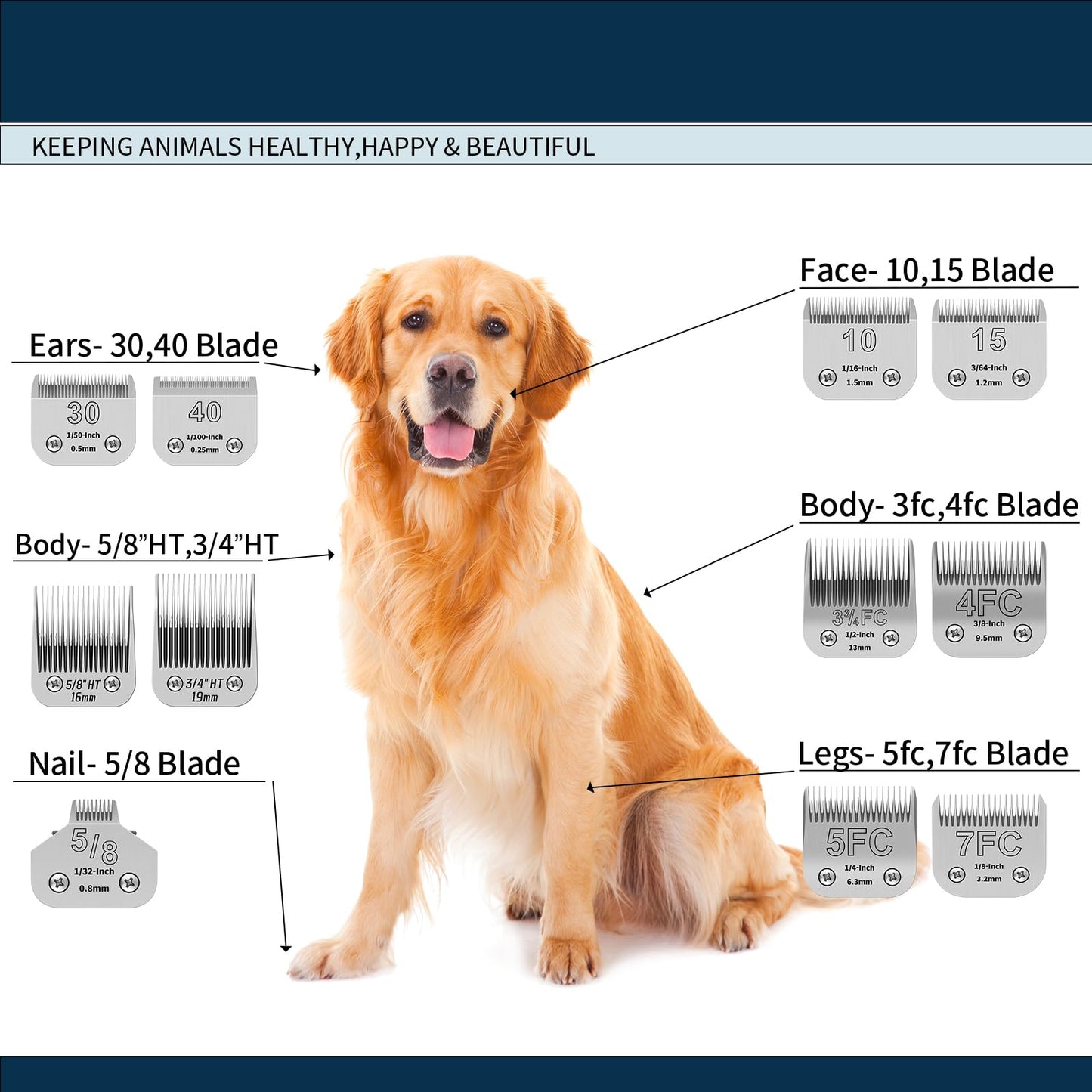 YAZIYIR Pet Dog Grooming Detachable Ceramic Blades Kit,Compatible with Andis,Oster A5,Wahl KM10 Clippers,Cut Length 1/100"(0.25mm) to 3/4" (19mm),12 Pack (12 Pack)