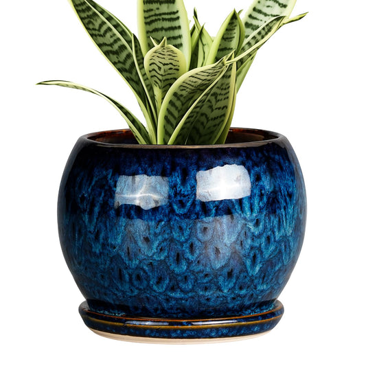 SQOWL 6 Inch Plant Pot - Ceramic Planter Pot with Drainage Hole and Saucer, Succulent Pot Round Flower Pot for Indoor Plants Outdoor, Blue