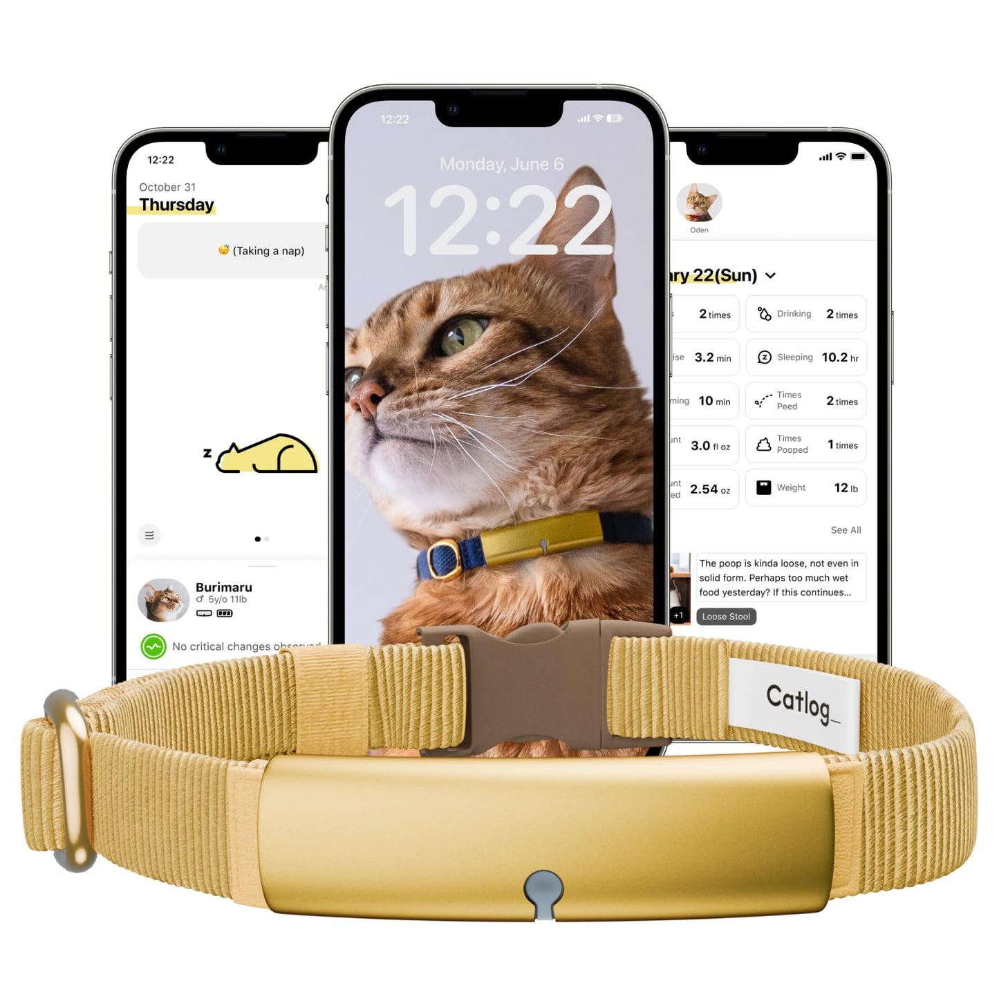 Catlog Health Tracker for Cats - Smart Cat Collar with Safety Breakaway Buckle for Indoor Cats, Wellness Alerts, Real-time Monitoring (Yellow, M)