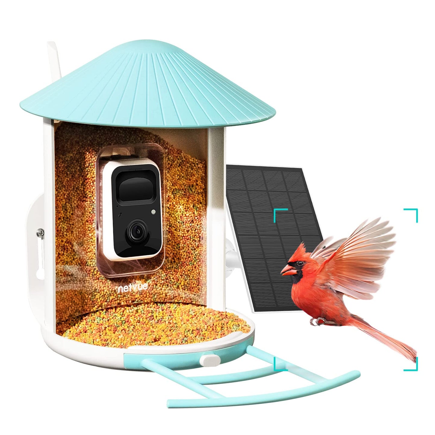 NETVUE by Birdfy Smart Bird Feeder with Camera & Hummingbird Feeder Perch, Attract More Bird Species