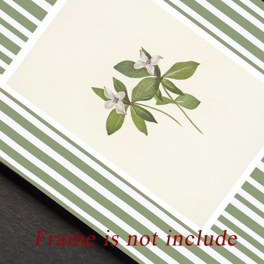 uniro Vintage Botanical Wall Art Prints, Vintage Floral Canvas Art Prints Painting, Pastel Green Stripe Flower Print for Cottage Wall Decor, Bedroom, Desktop Decor - (8" x 10"-UNFRAMED)