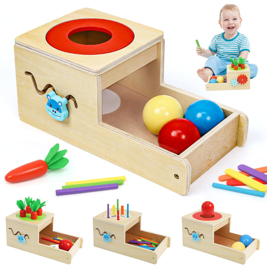 Montessori Toys for 1 Year Old, 6 in 1 Wooden Toys for Baby Boy Girl, Object Permanence Box, Color&Shape Sorting Learning Matching Game, Carrot Harvest, Preschool Educational Gift (new coin box)