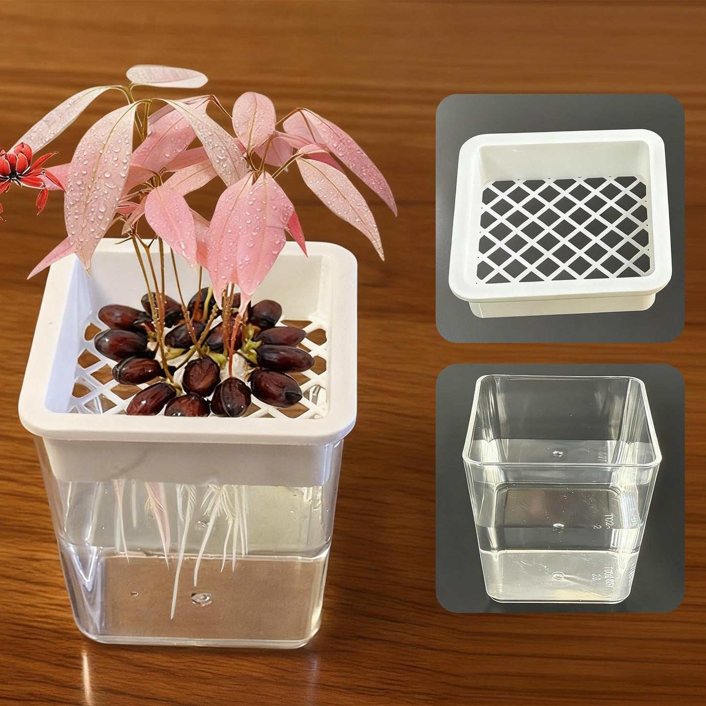 Flower Pots for Plants,Plant Containers - Hydroponic Containers,for Semi-Hydro Cuttings Seedlings African Violets Balcony Desk Garden Porch Windowsill Bedroom Living Room Yard