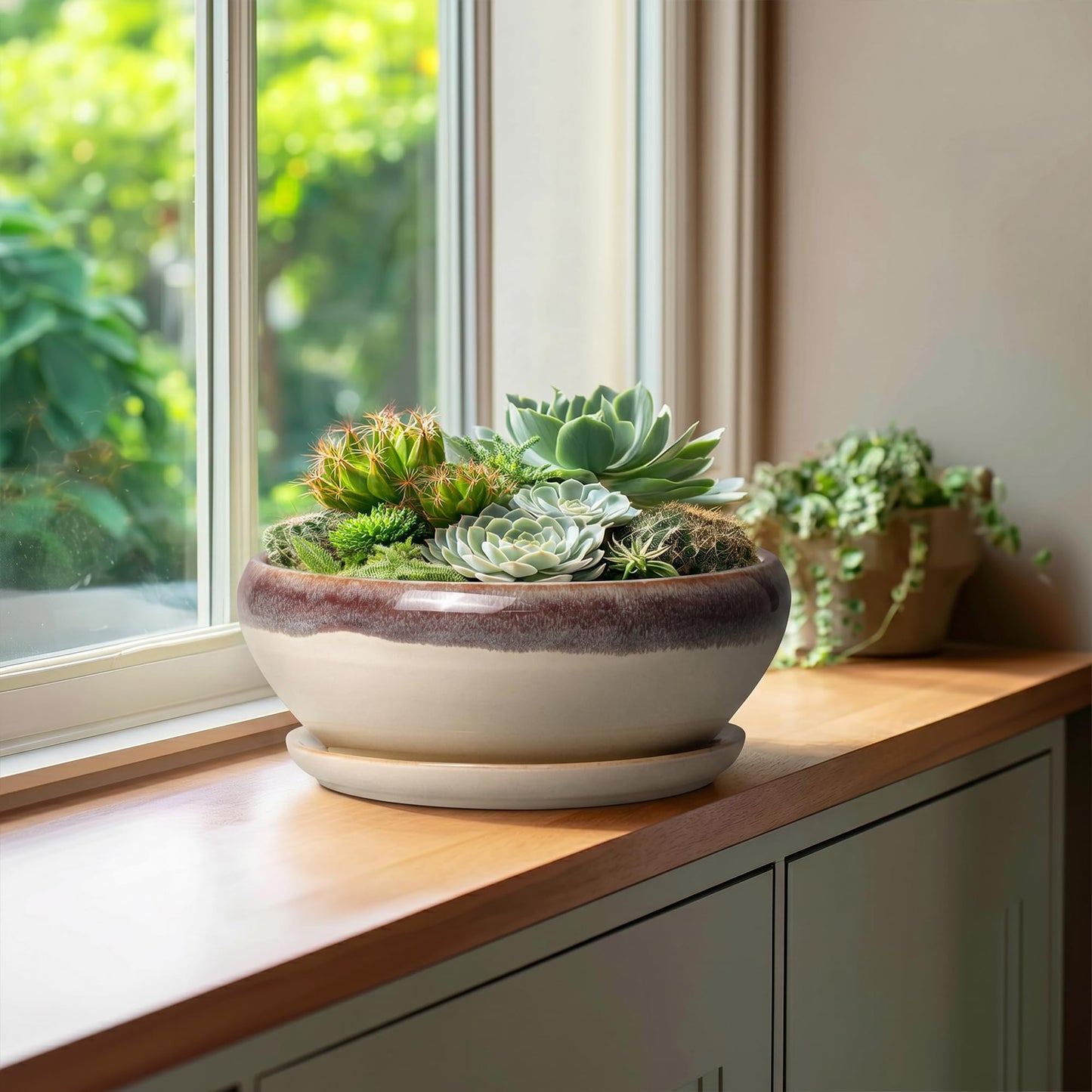 SQOWL Bonsai Tree Pots - 10 Inch Ceramic Succulent Pots, Round Shallow Planter with Drainage Hole and Tray, Bowl Planter for Indoor Outdoor Plants Flowers, Room Decor, Garden Gifts, Beige