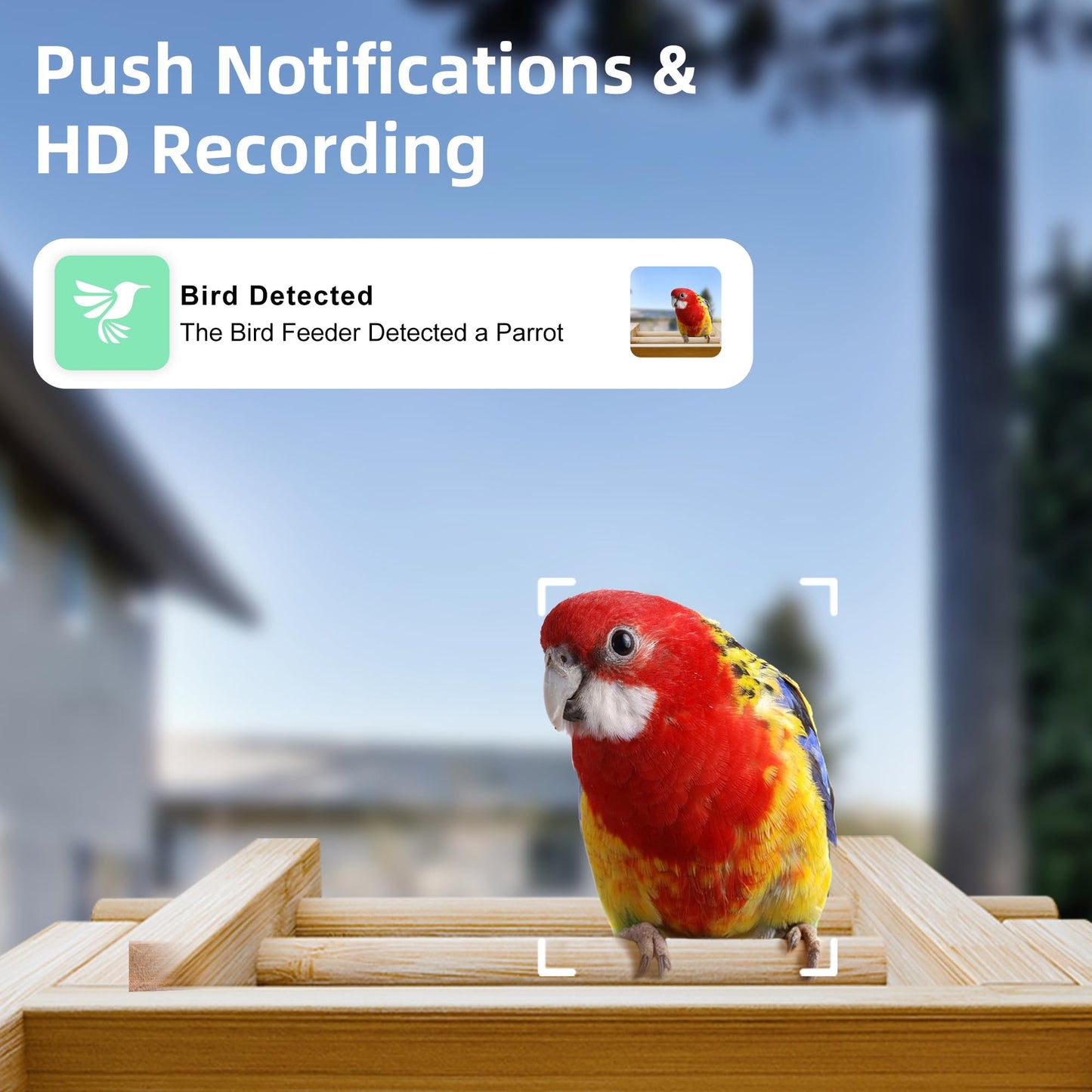 Smart Bird Feeder with Camera, Wild Bird Feeder for Outdoors Bamboo Bird House Watching Camera with AI Identify 11K+ Birds Species & Real-time Notifications, Gifts for Mom Dad Birdlovers, Gable