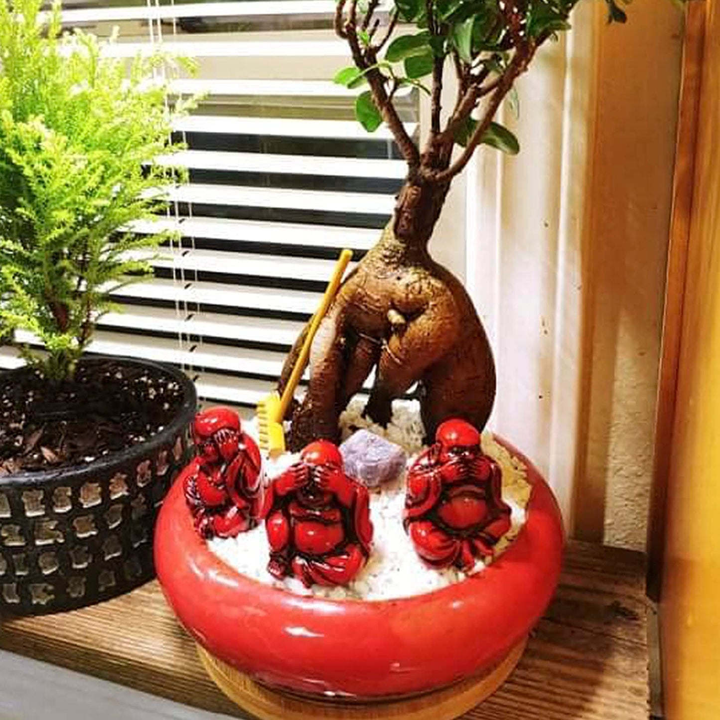 ARTKETTY Succulent Pots - 2 PCS Large Bonsai Pots with Drainage Tray, 7.3 Inch Shallow Planters for Indoor Plants Ceramic Cactus Plant Container Bowl for Home Office Desk