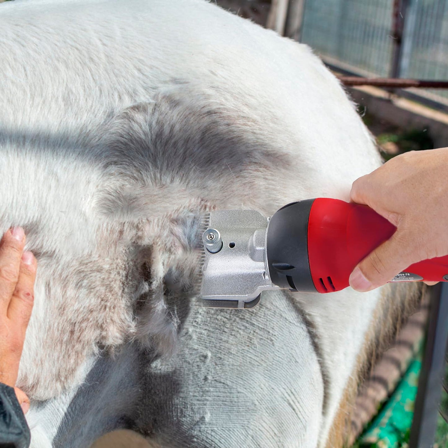 Johui Horse Clippers - 500W Heavy Duty Horse Body Clippers with 2 Sets Removable Blades & 6 Speeds for Horses, Cattle, Camels, Large Dogs