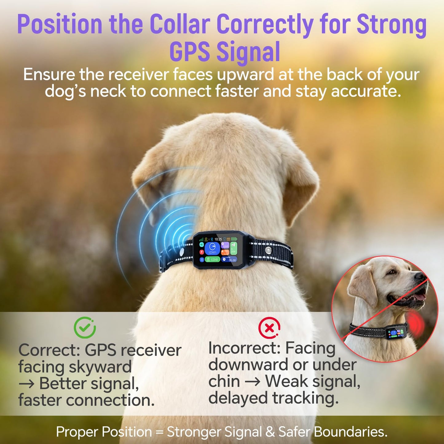 RAINLEOTI GPS Wireless Dog Fence – with Dog Collar, Remote & Free App, Custom GPS Fence, Adjustable Beep/Vibration/Static, IP67 Waterproof, Long Battery Life, for Dogs 10–120 lbs, Remote Kit