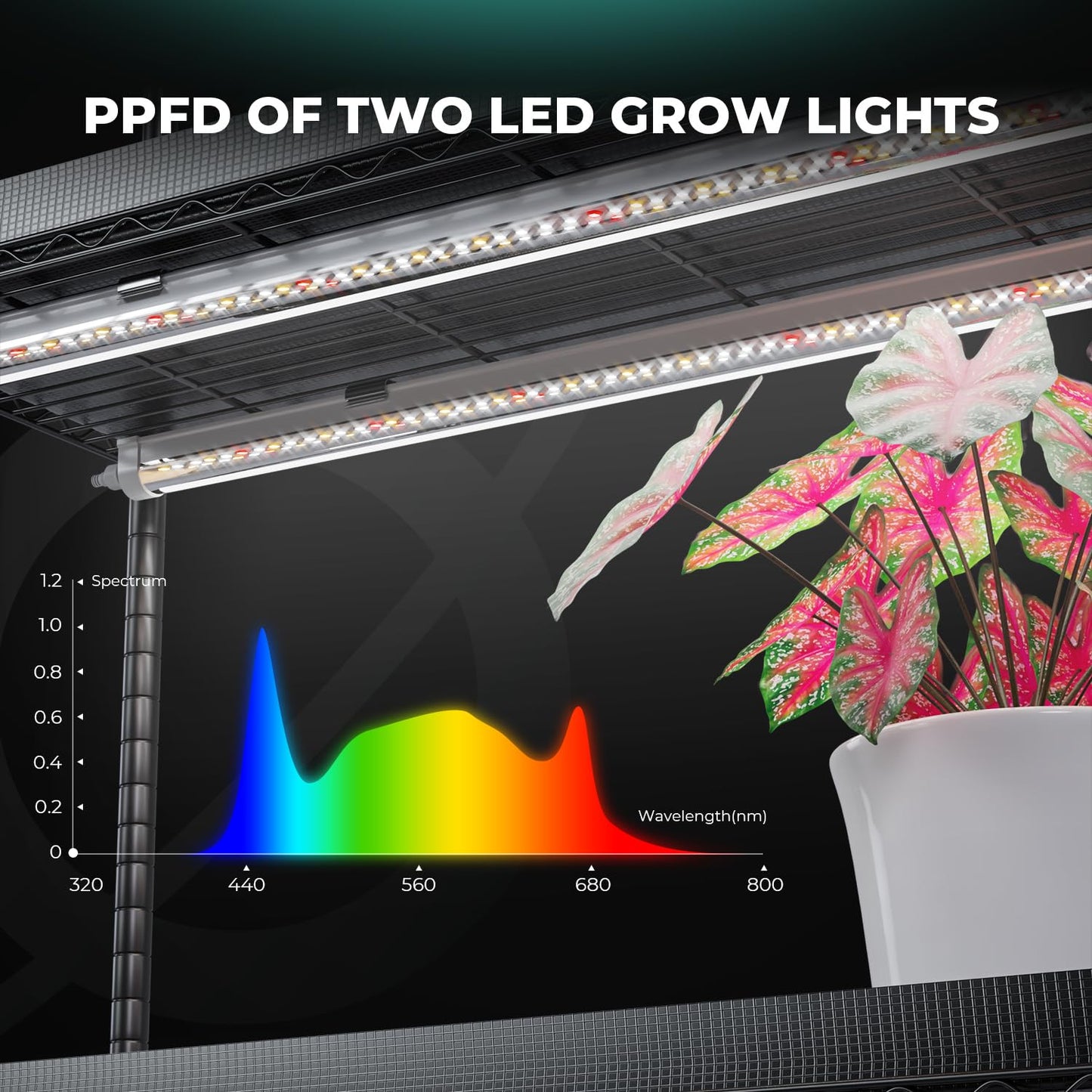 MARS HYDRO 2025 Plant Stand with Grow Lights 4-Tier Plant Shelf with 6 Full Spectrum LED Lamps (54W, 12‘’) & Grow Tent Mini Greenhouse for Vegetables, Seedlings, Plant Growth 5000K, 16x12x47''