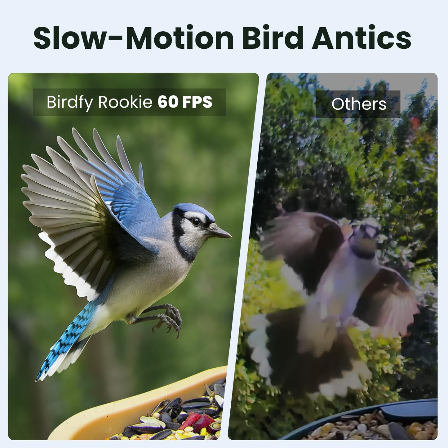 Birdfy Bird Feeder with Camera for Rookie - Solar Powered Outdoor Bird Feeder with Dual Night Vision, AI Recognition, Slow Motion & IP66 Waterproof, Ideal for BirdLovers (Lifetime Free AI)