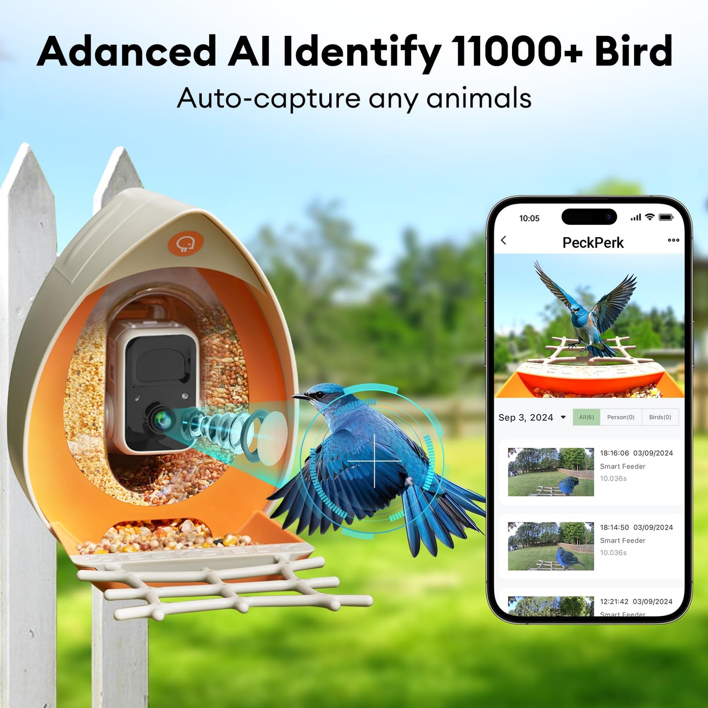 Bird Feeder with Camera Solar Powered, Smart Birds Feeder for Outside, AI Bird Identification Auto Capture Videos Pictures, 2K Live Feed Cam for Backyard, Ideal Gift for Birds Lover
