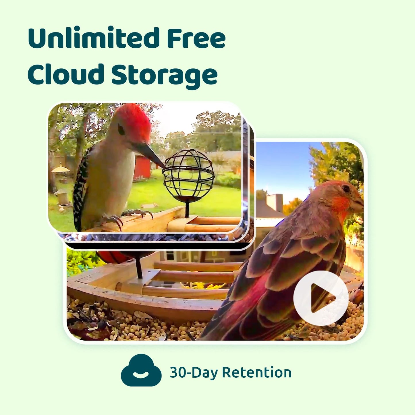 Birdfy Smart Bird Feeder with Camera, High-End Bamboo, Solar Powered Bird-Feeder with 2K Camera for Live Stream&Permanent AI Identifies Birds with Motion Detection,Ideal for Mom,Gran&Me