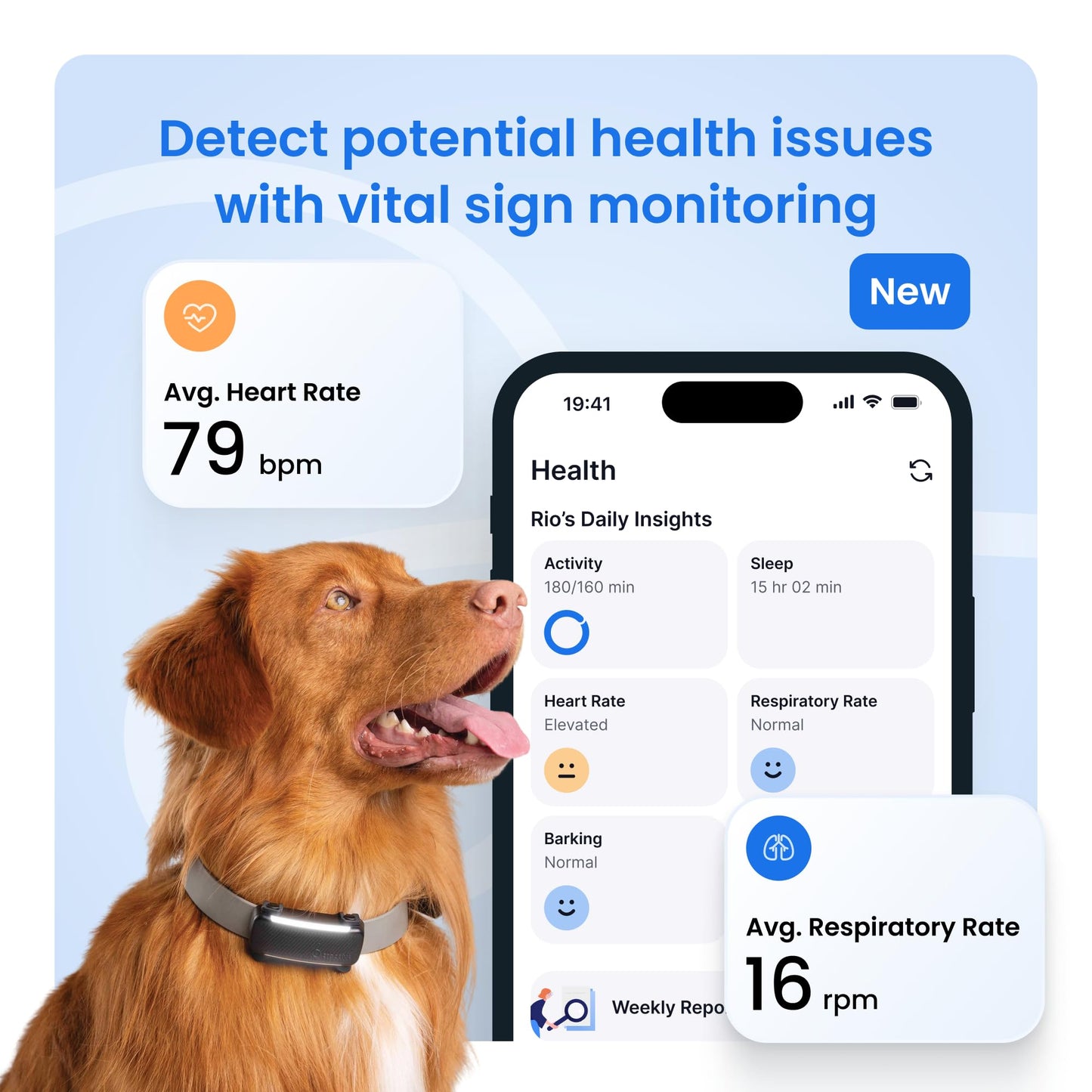 Tractive Smart Dog GPS Tracker | Live Pet Tracker with Virtual Fence | Vital Signs Monitoring of Heart & Respiratory Rate | Bark Monitoring | Dog Collar Attachment (Bundle of 2, Black & Mint)