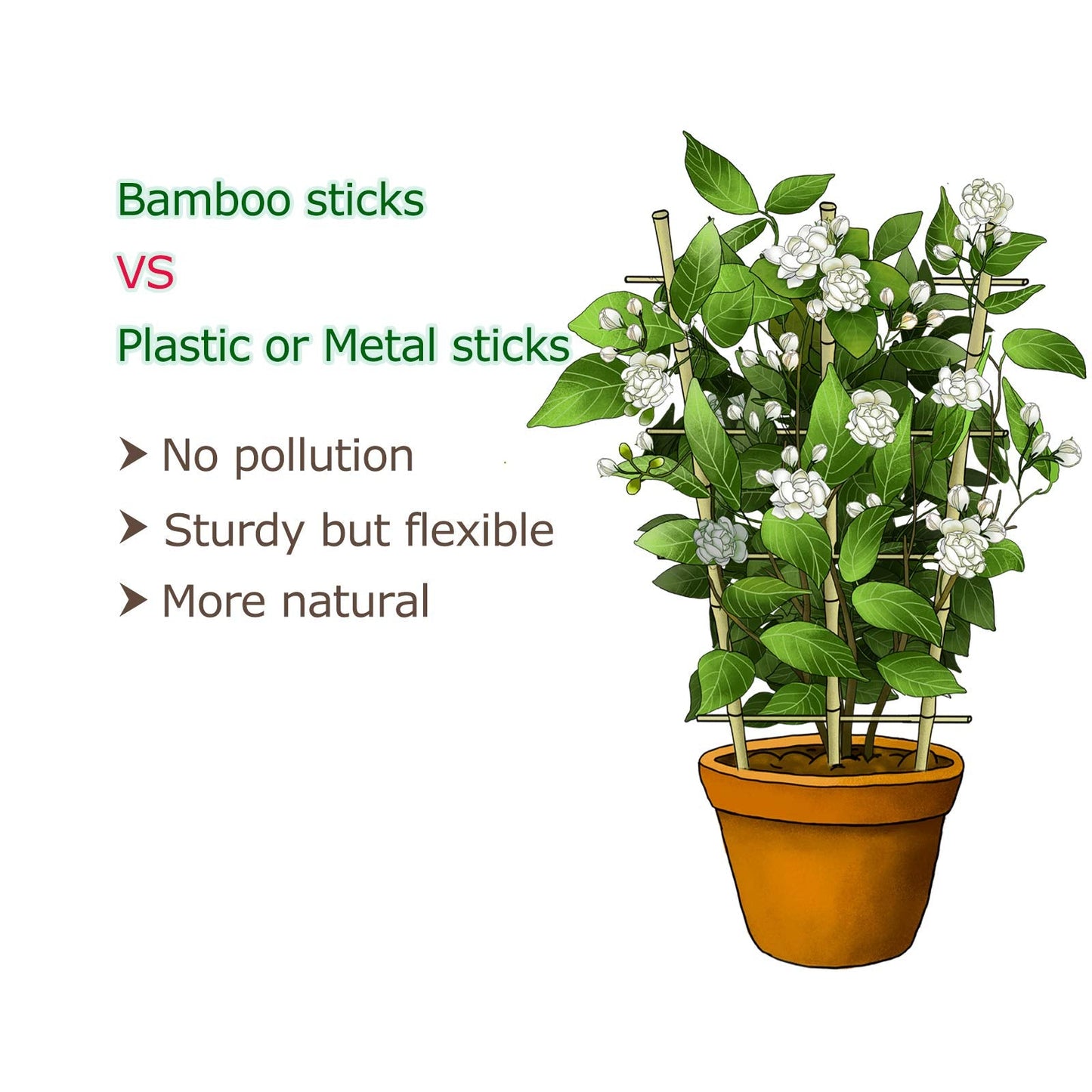 Cambaverd Trellis for Climbing Plants Indoor Outdoor, Natural Bamboo Trellis 24 Inch, 3 Pack Garden Trellis for Potted Plants, Ivy, Monstera, Houseplants