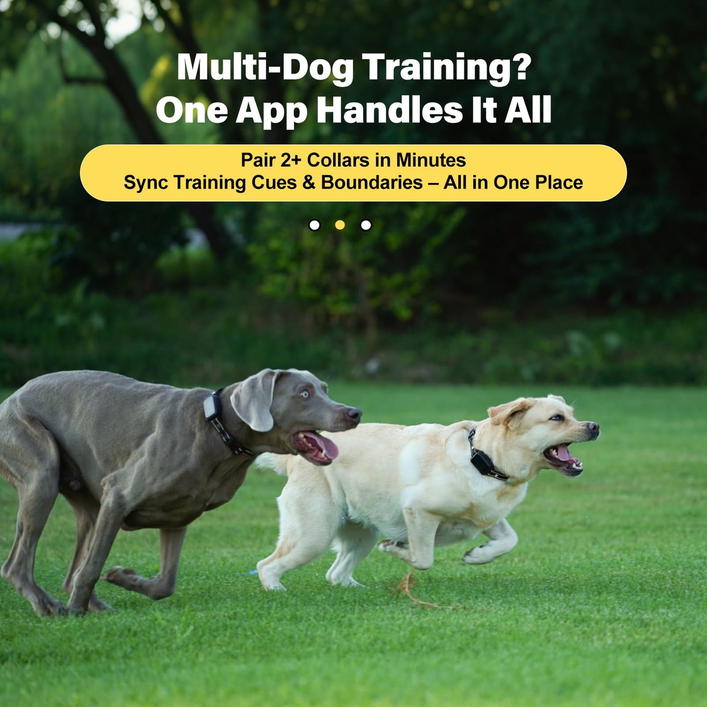 Lilyeel GPS Wireless Dog Collar Fence System - No Monthly Fee App Control, Custom Polygon Boundary & Remote Training, Free Phone Tracker for Up to 5 Pets, Virtual Electric Fence for Dogs, Dark Gray