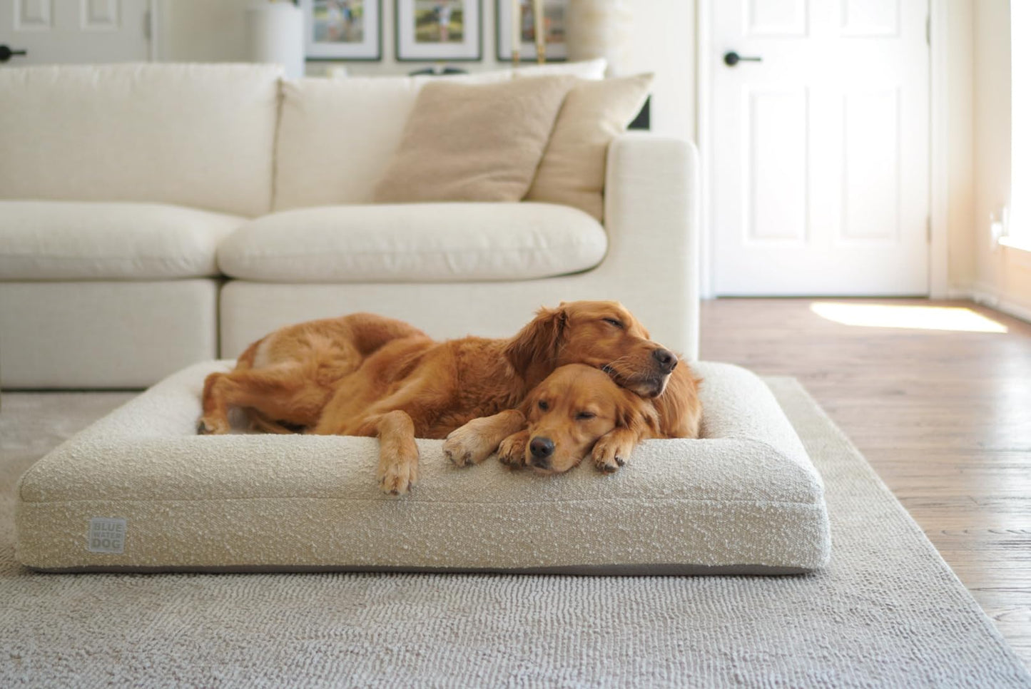 Bluewater Dog Luxury Boucle Orthopedic Memory Foam Dog Bed with Waterproof Liner and Machine Washable Cover with YKK Zippers (Large, 45" L x 36" W x 7" Th, Cloud)