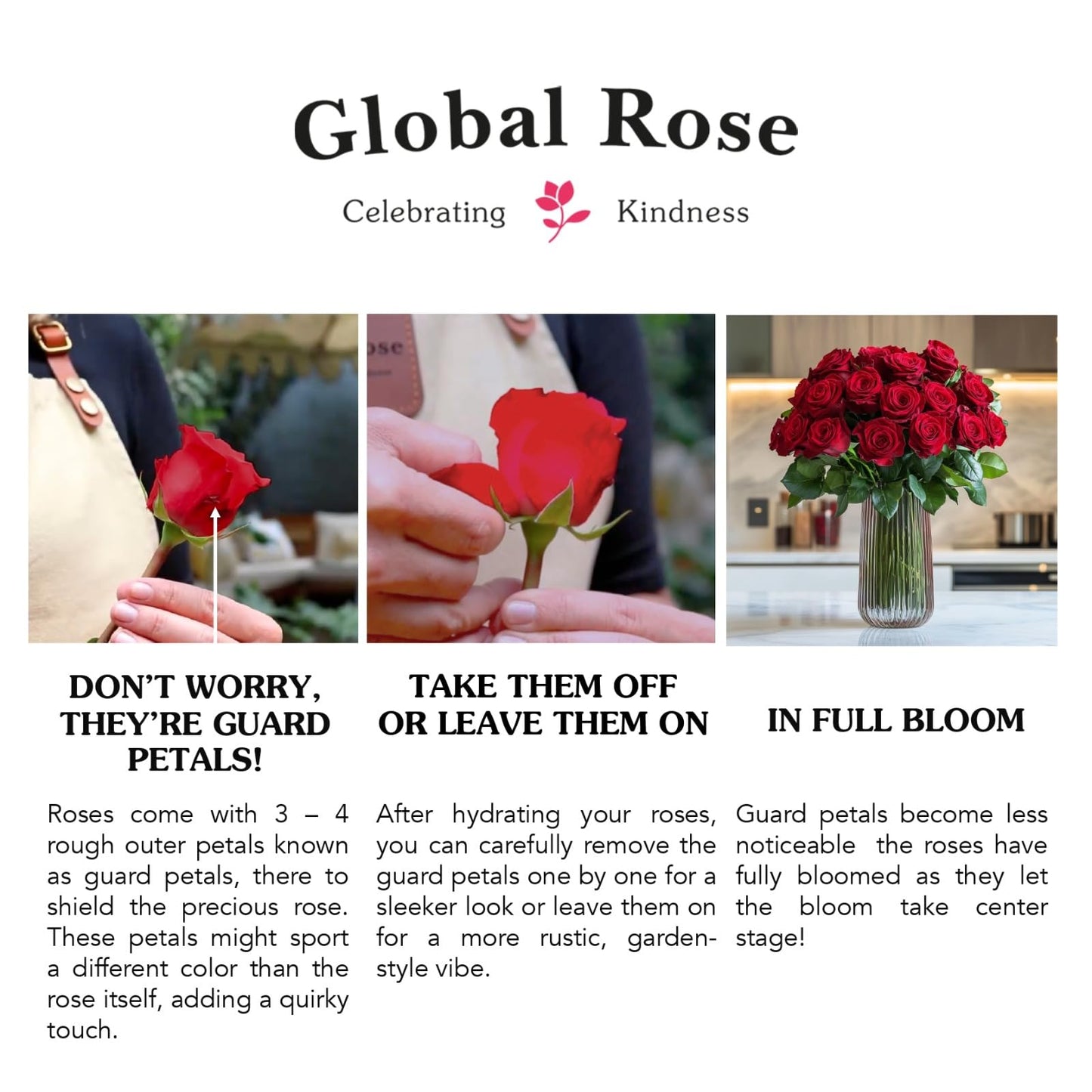 GlobalRose 75 Pink Roses Bouquet - Responsibly Sourced Roses Fresh Flowers - Hand-Picked Flowers Fresh Bouquet for Graduation, Anniversary, Birthday & Special Occasions (3 Bunches of 25 Stems)