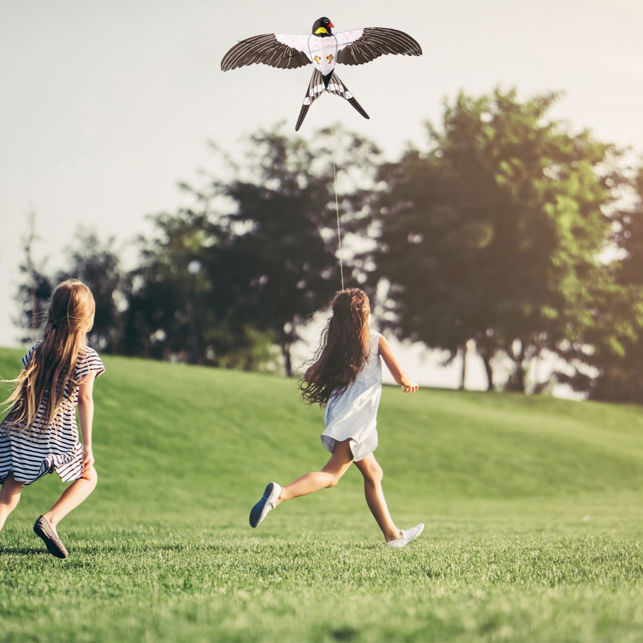 Gogogmee Swallow Bird Kite with Fishing Pole Easy to Fly Lightweight Outdoor Kids Kite for Family Fun and Play