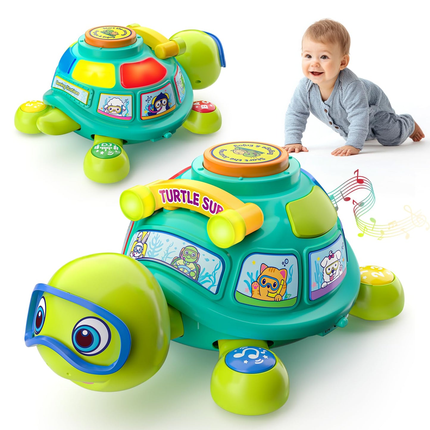 Zardali Baby Toys 6-12 Months, Musical Turtle Tummy Time Developmental Crawling Toy for 6 7 8 9 10 Months, Educational Bilingual Infant Toy 6-9-12 Months, Baby Boy Girl Birthday Gifts