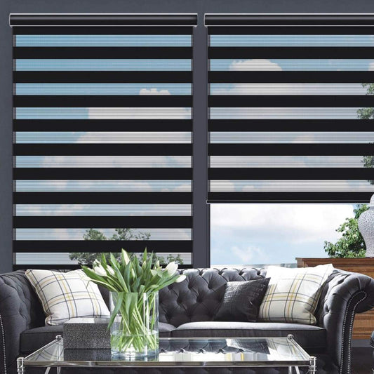 Changshade Cordless Zebra Blinds for Windows, Modern Dual Layer Zebra Blinds with Light Filtering & Privacy Control,Easy Install Zebra Blinds for Indoor Windows,（24" W×72" H,Black）