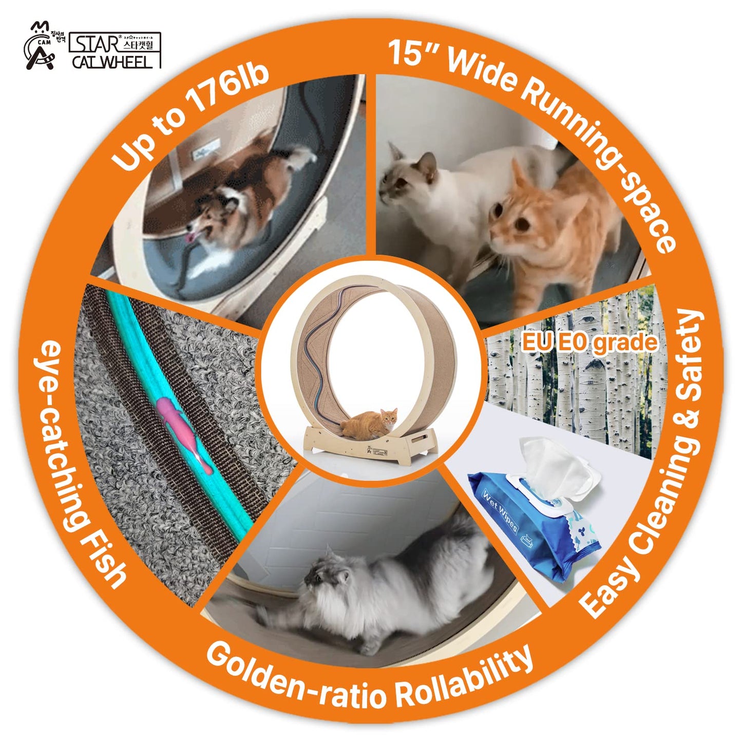Star Cat Wheel, Cat Treadmill, Exercise Wheel for Running, Spinning, Scratching, and Climbing for Indoor Cats, Premium Birch Wood, Eco-Friendly, Moving Fish, Wide Running Track, 47.2 inch XL Size