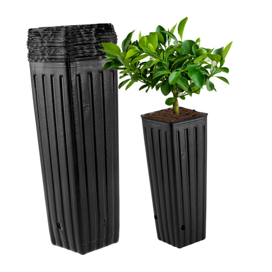 YARNOW 50pcs Tall Nursery Pots for Trees, 11.8 x 3.9 Inch, Black Plastic Grow Bags with Drainage Holes for Vegetables, Fruits, and Flowers